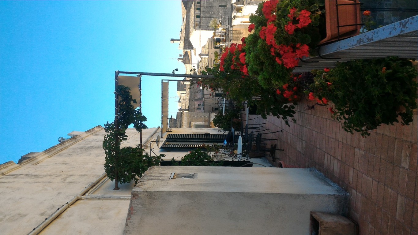P_20160805_084851 .jpg